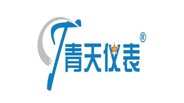 国产麻豆免费在线偉（wěi）業儀（yí）器儀表有（yǒu）限公司現需溫度，壓力，水表等企業尋求合作